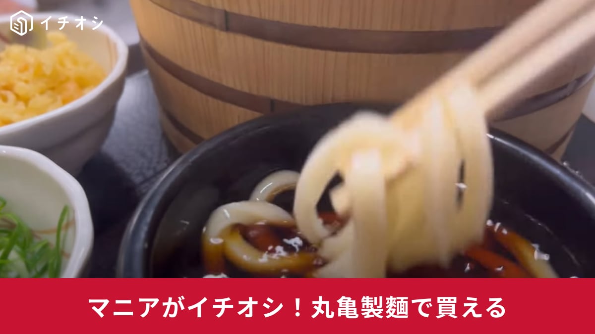 【丸亀製麺】1日は「釜揚げうどんの日」！半額の170円から食べられるって本当!?行かなきゃ損でしょ