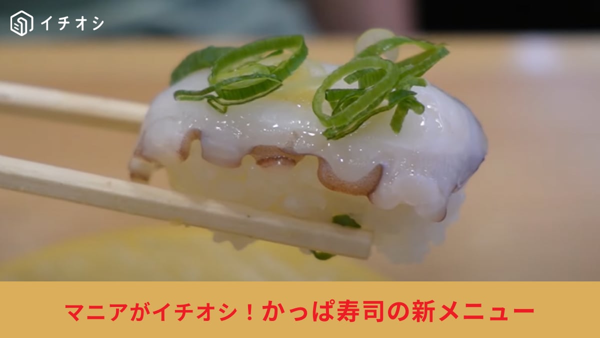 【かっぱ寿司】夏の新定番メニューが豊作！「うなぎ刻み包み」など1皿150円以下のお寿司4選を紹介！