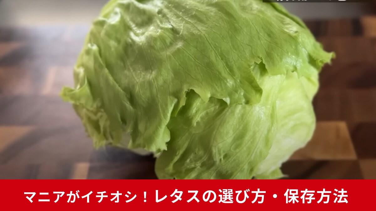 失敗しない【レタスの上手な選び方とおいしい保存方法】3週間もピンっとシャキっと保つ魔法のテクニックとは？