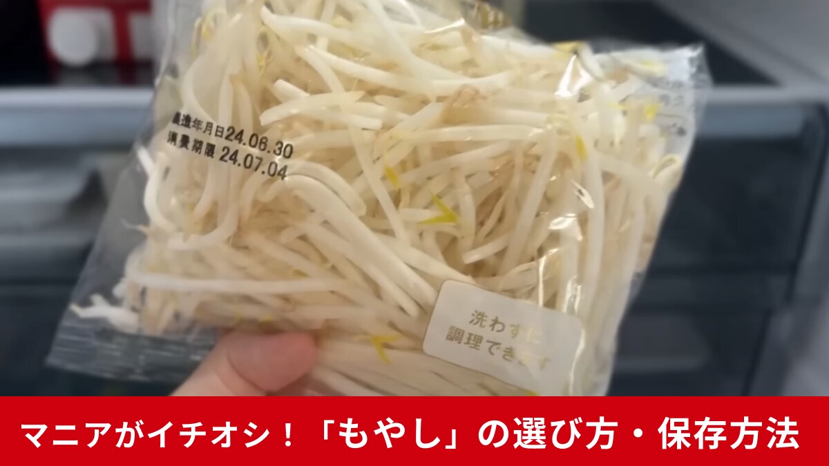 気にしたことなかったかも！実は「もやしの選び方」ってあるんです！冷蔵庫の肥やしにさせないための方法とは？