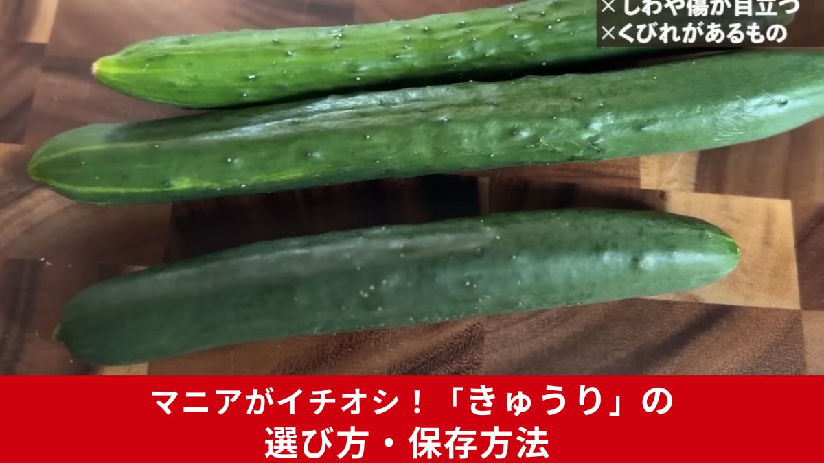 おいしい「きゅうり」はトゲがないもの、あるものどっち？スーパーの元店長が教える！新鮮な野菜の見極め方や保存方法を伝授