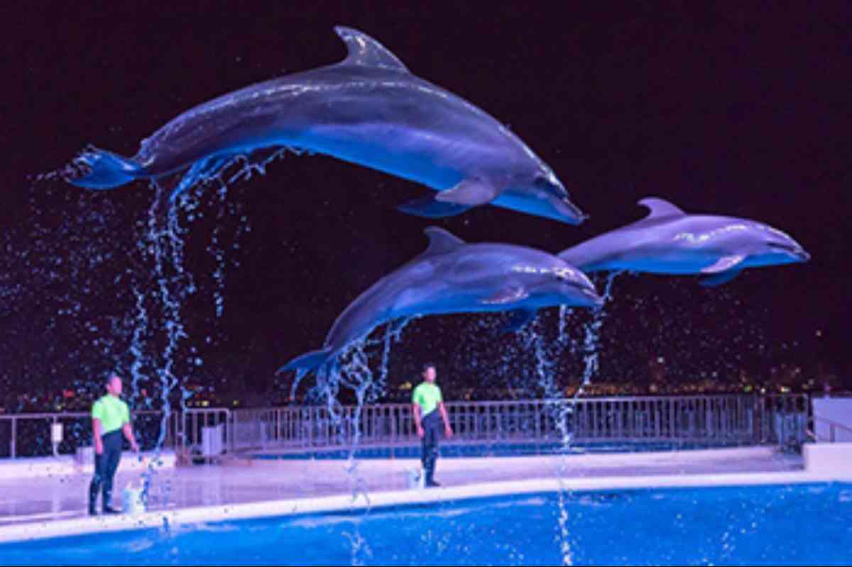 8位：マリンワールド海の中道「夜のすいぞくかん」【福岡県】