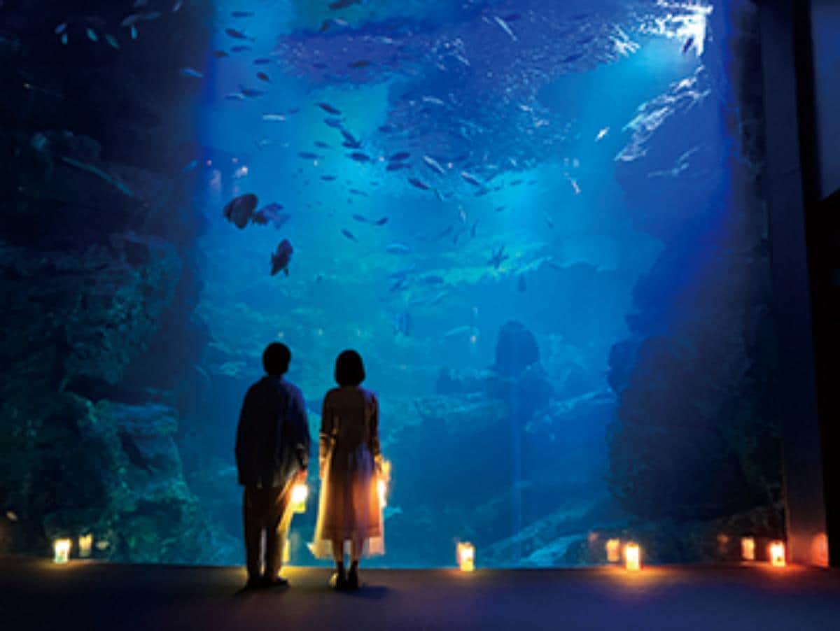 猛暑だからこそ！「夜を楽しむ体験スポット」ランキングTOP!0！1位は浴衣で行きたい幻想的な「江の島灯篭」