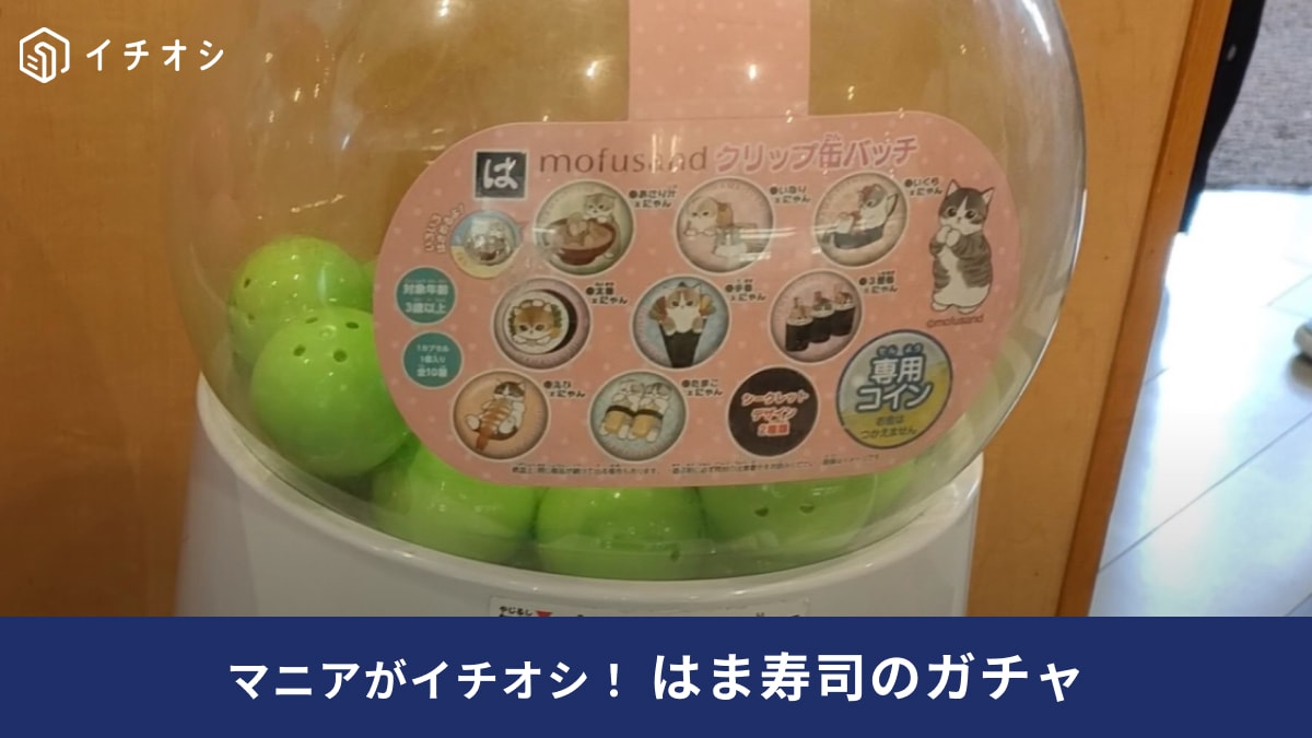 はま寿司】「モフサンドガチャ」に子どもも大人もハマる！回してみたら 