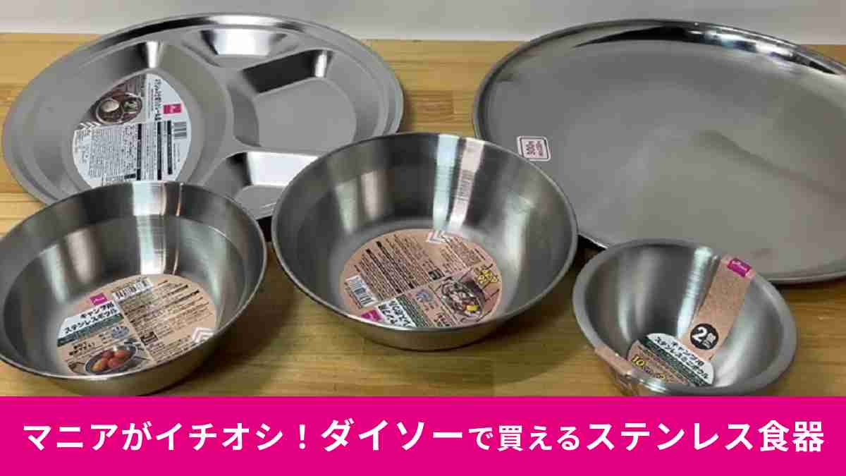 マニアおすすめ！ダイソー「ステンレス食器」5選！