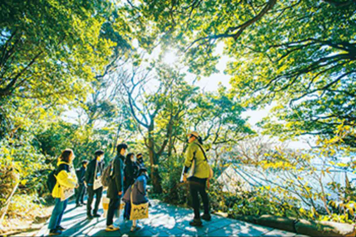 2位：無人島・猿島「探検」ツアー【神奈川県】