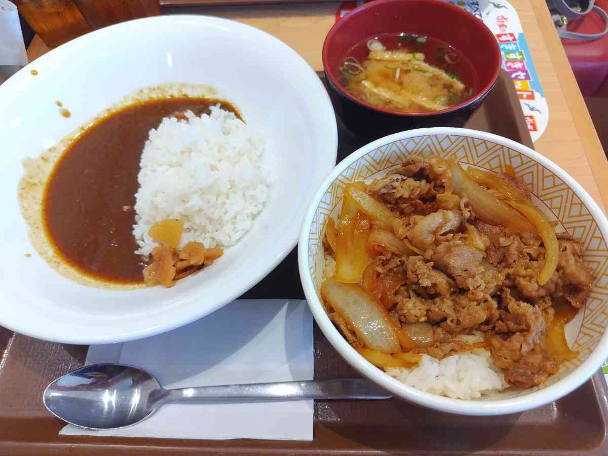 すき家の「牛丼Wセットランチ」