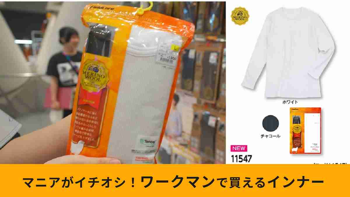 ワークマンの「サーモメリノインナー長袖クルーネック」は確かな機能性がうれしい！