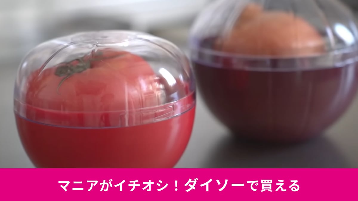 【ダイソー】「野菜保存容器」はまるでカプセルトイ!?残った野菜を賢く保存できる優れもの！