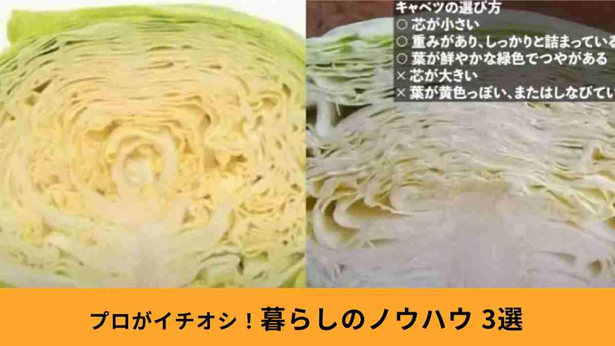 知ってるとちょっと得する！「暮らしのノウハウ3選」食材選びのポイントや賢い掃除のコツが参考になる◎