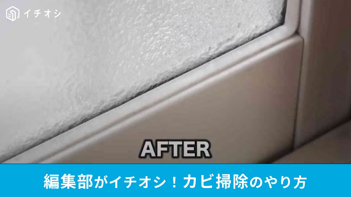 プロが教える「家中のカビ掃除のやり方」3選！引っ越しや春の大掃除前に知って役立つ～！