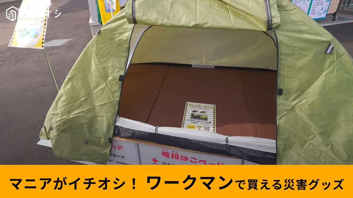 【ワークマン】5800円の「レジストドームテント」は災害時でも大活躍！段ボールベッドとの合わせ技が便利！