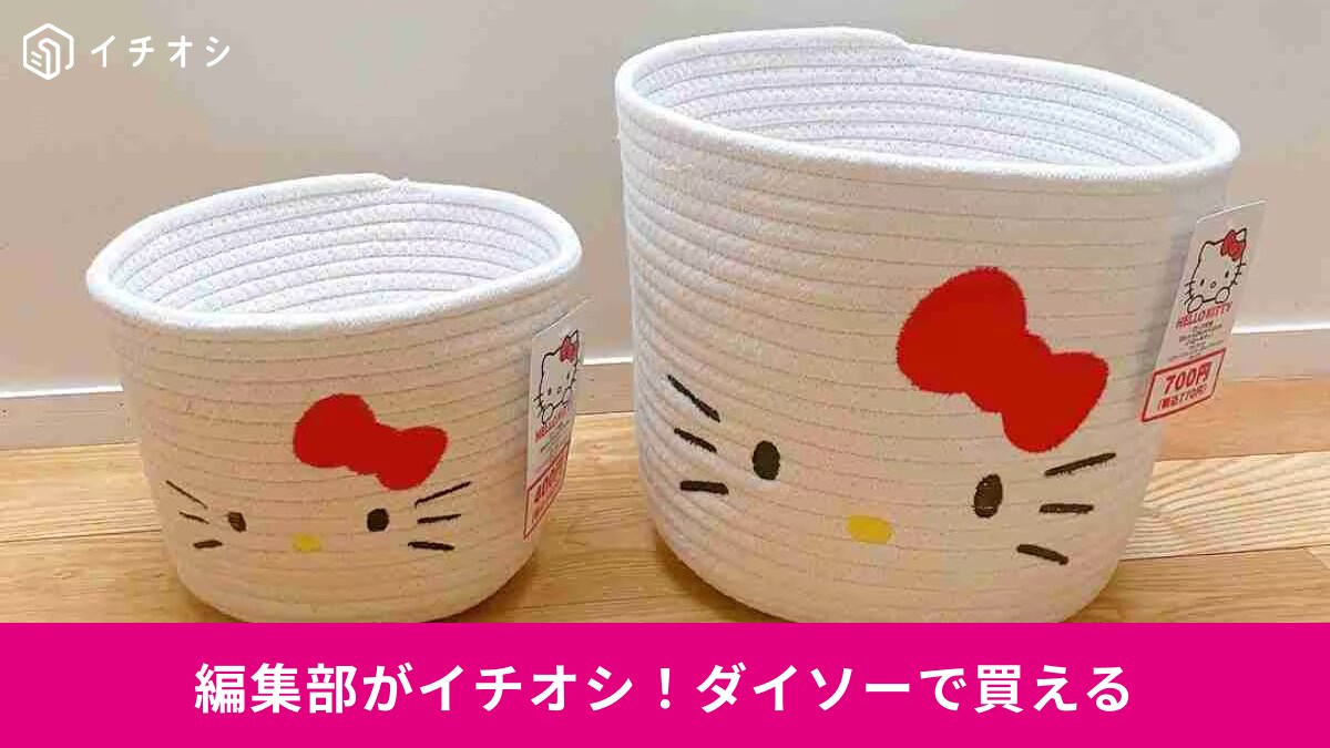 【ダイソー】買えるけど買えない!?「マニアも入手困難」だった激バズグッズ3選！