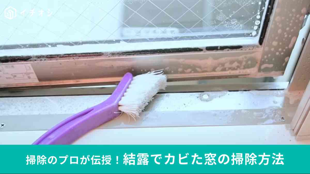 結露でカビが生えた窓の掃除方法