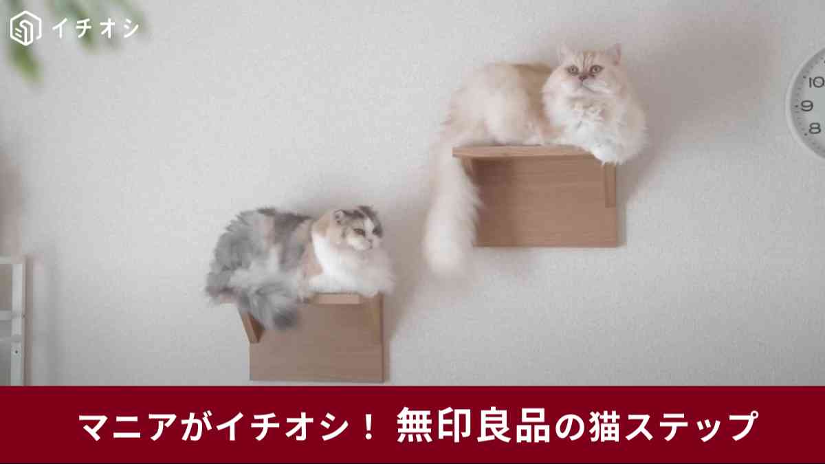 無印良品の「壁に付けられる家具猫用ステップ オーク材突板」