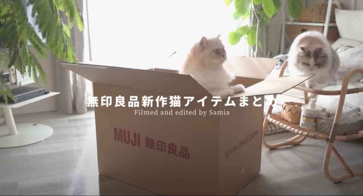 無印良品の「壁に付けられる家具猫用ステップ オーク材突板」