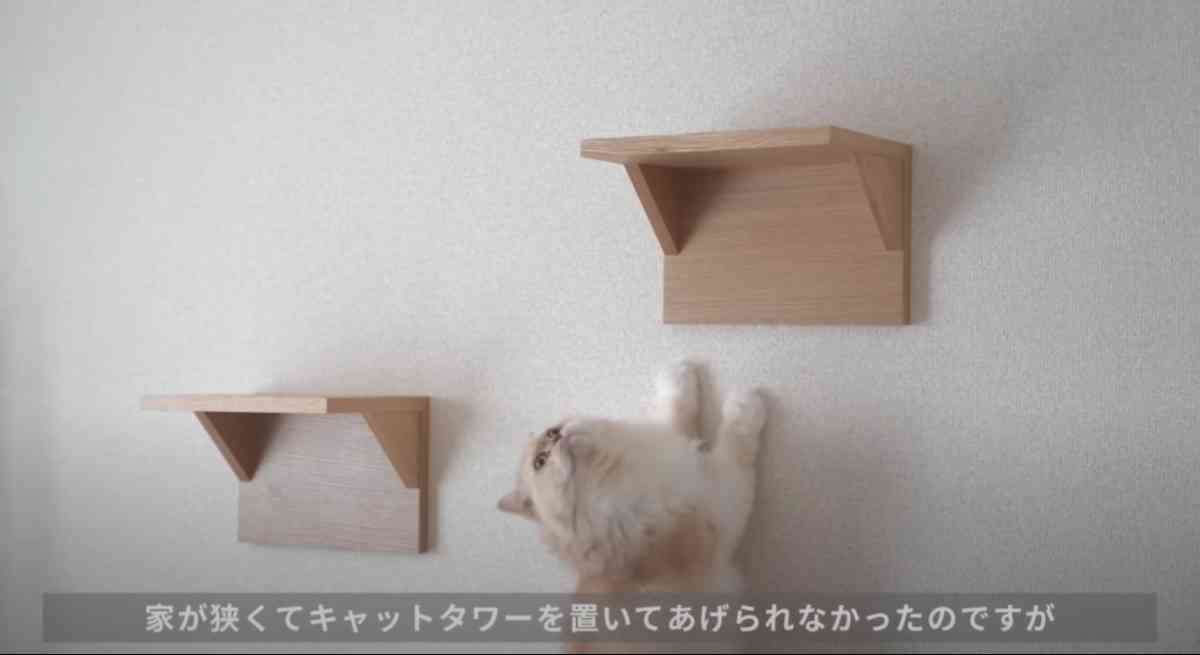 無印良品の「壁に付けられる家具猫用ステップ オーク材突板」