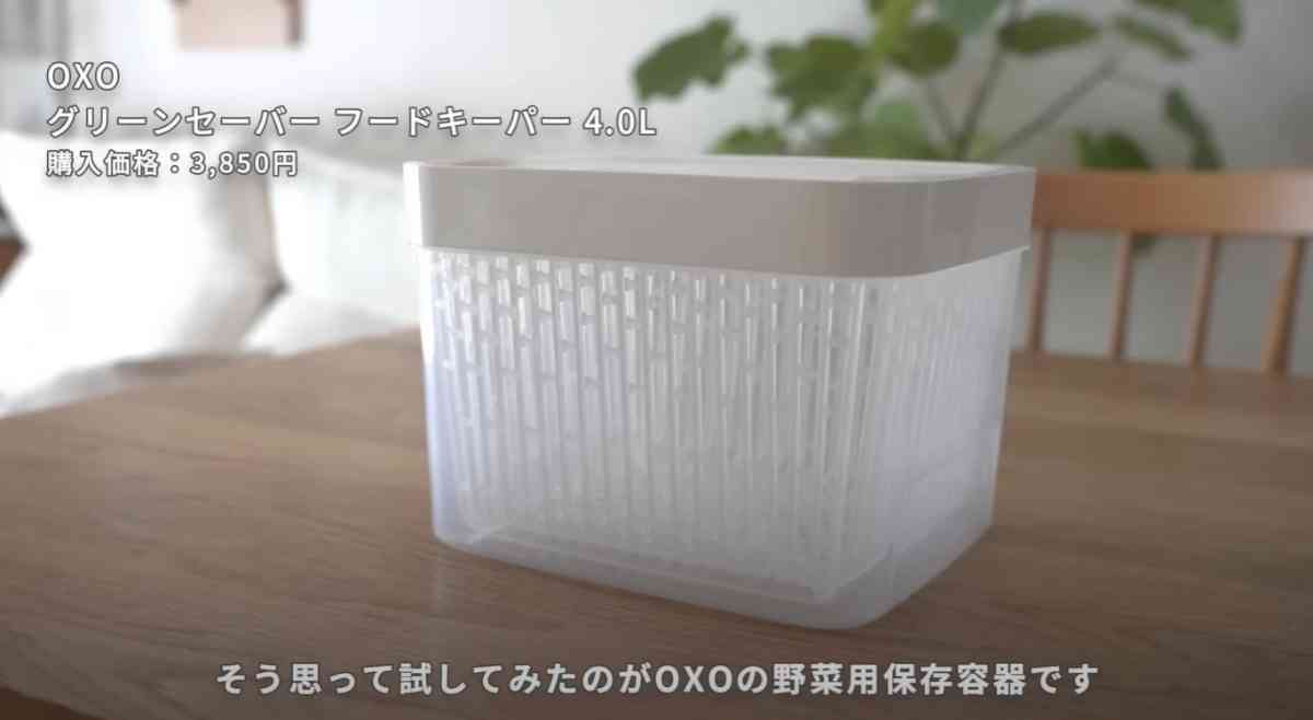 OXO(オクソー)の「グリーンセーバー フードキーパー」
