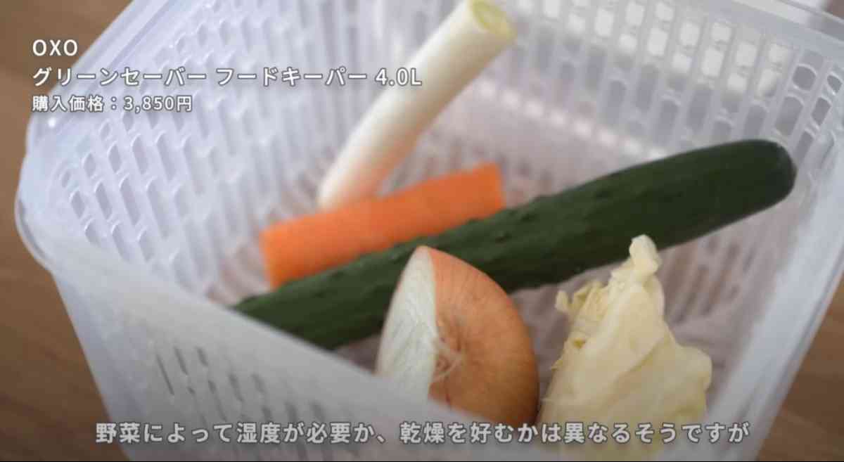 OXO(オクソー)の「グリーンセーバー フードキーパー」