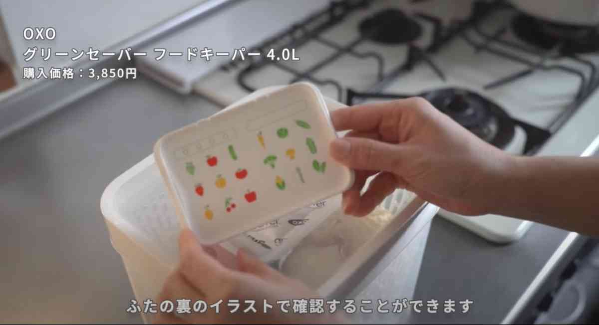 OXO(オクソー)の「グリーンセーバー フードキーパー」