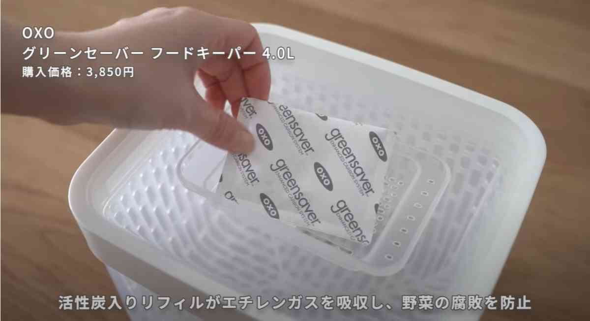 OXO(オクソー)の「グリーンセーバー フードキーパー」
