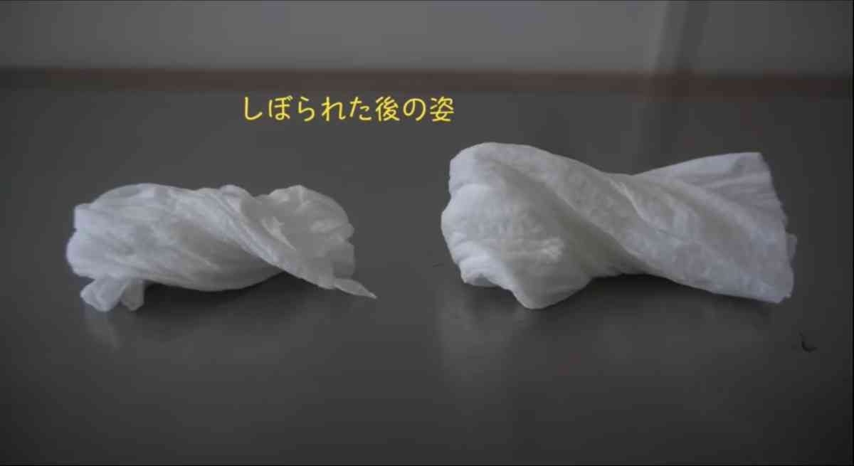 「スコッティ ファイン 洗って使えるペーパータオル」