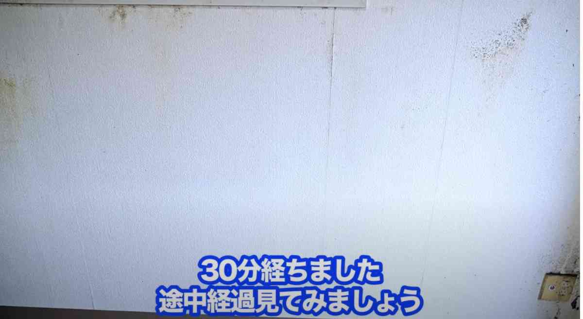 プロがやっている壁紙についた黒カビを落とす方法