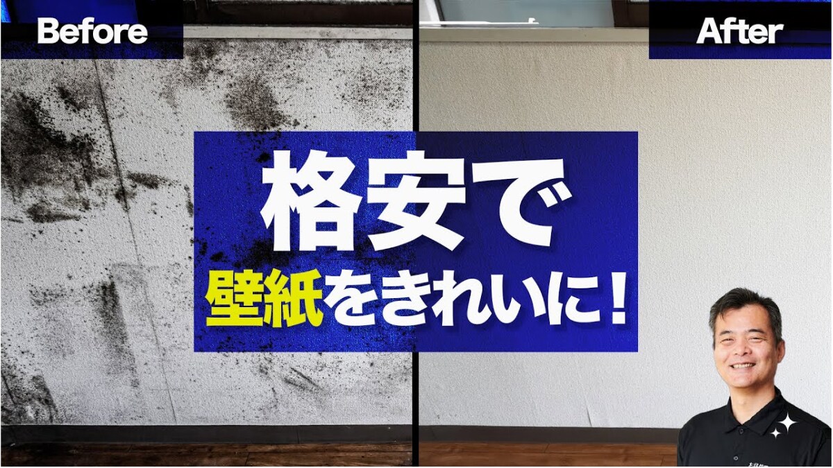 掃除のプロが伝授！「壁紙についた黒カビ」はどう落とす？実は家にある2つの洗剤できれいにできるんです！