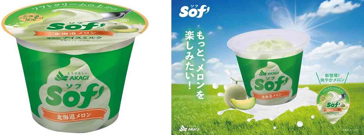 赤城乳業 ソフ 北海道メロン
