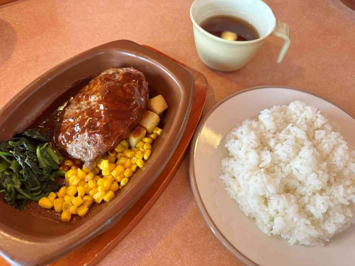 【サイゼリヤ】は「ランチメニュー」がお得！ハンバーグやパスタが選べて500円から楽しめる！