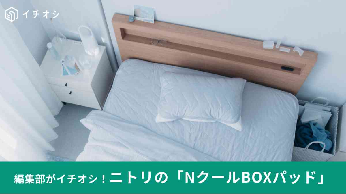 2025年ニトリ「Nクール」のBOXパッド