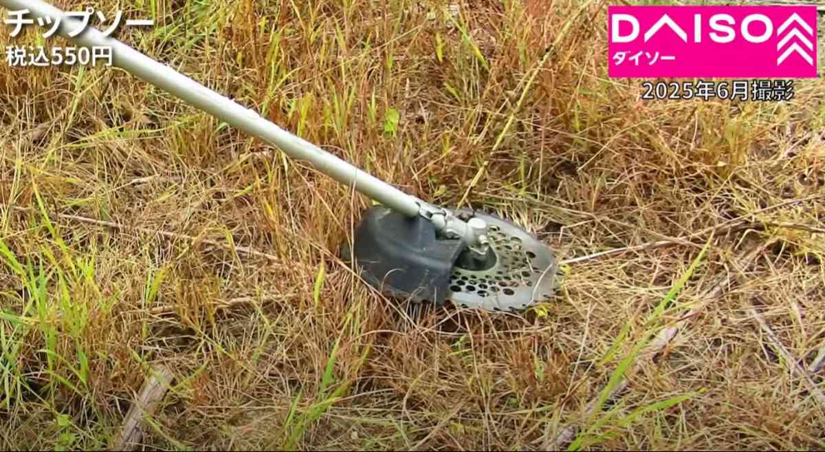 ダイソーの「チップソー」