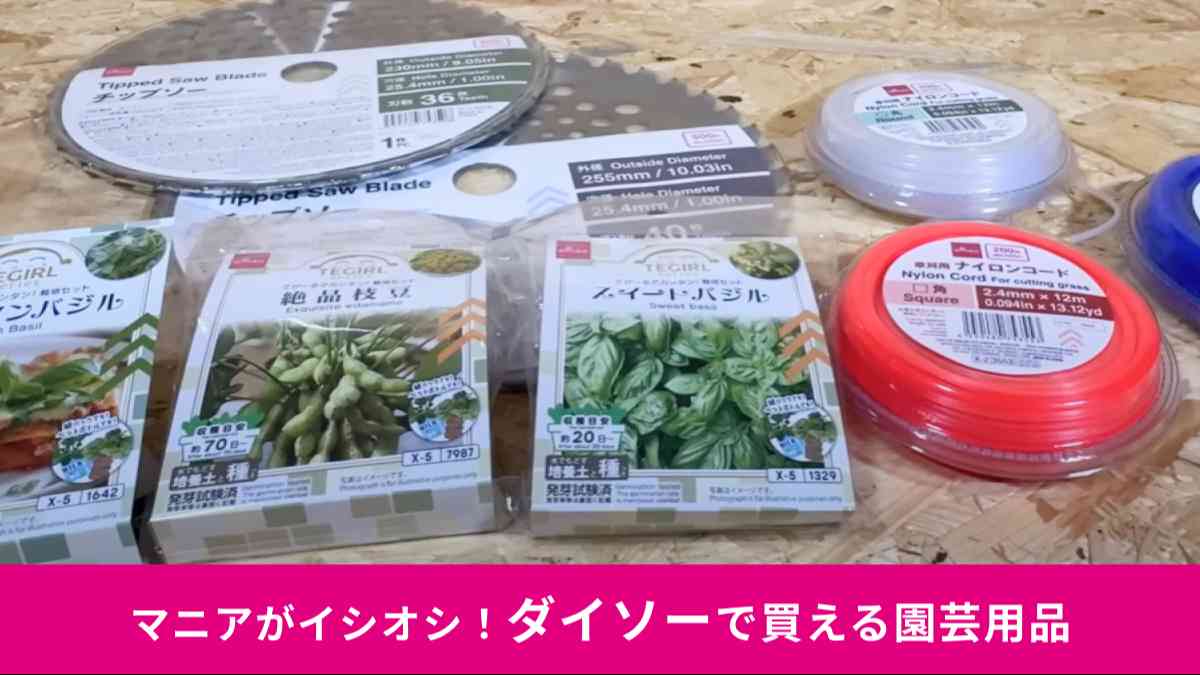 ダイソーの園芸用品