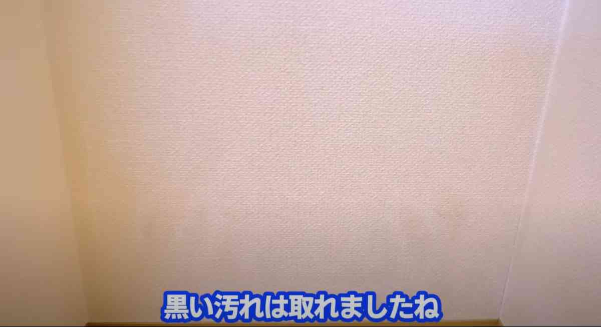 ワイドハイターPRO