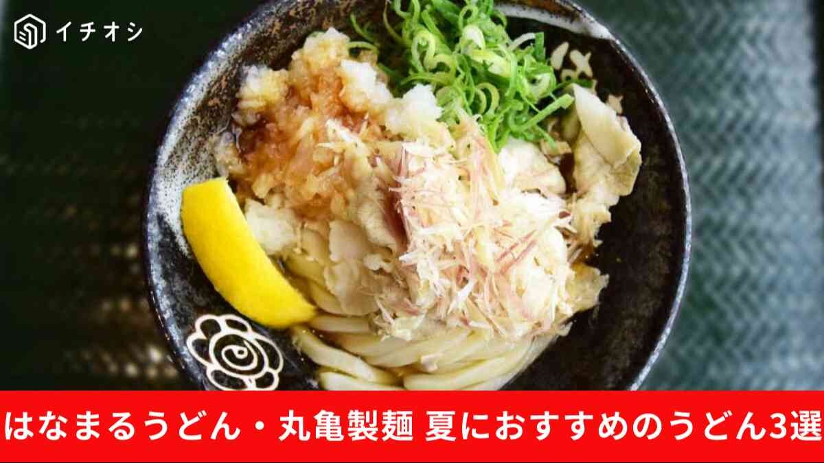つるんと爽快！【はなまる・丸亀】この夏絶対食べるべき「ひんやりうどん」3選