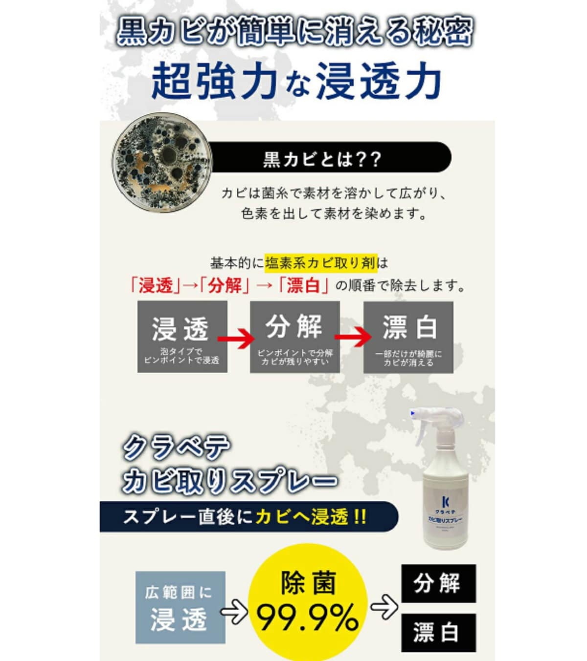 画像出典：楽天市場