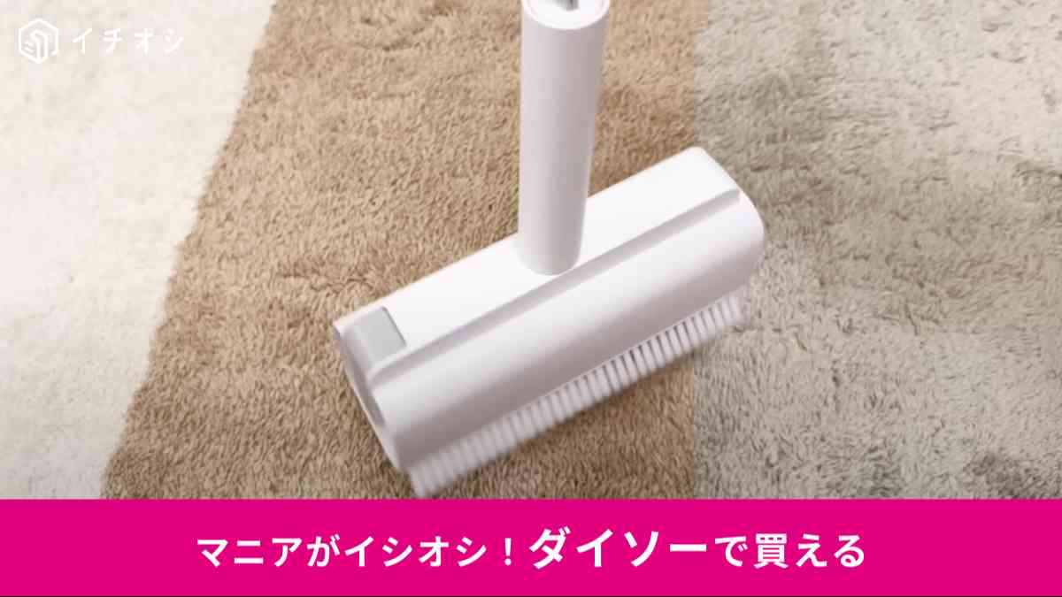 ダイソーの「ブラシ一体ケース付粘着クリーナー」