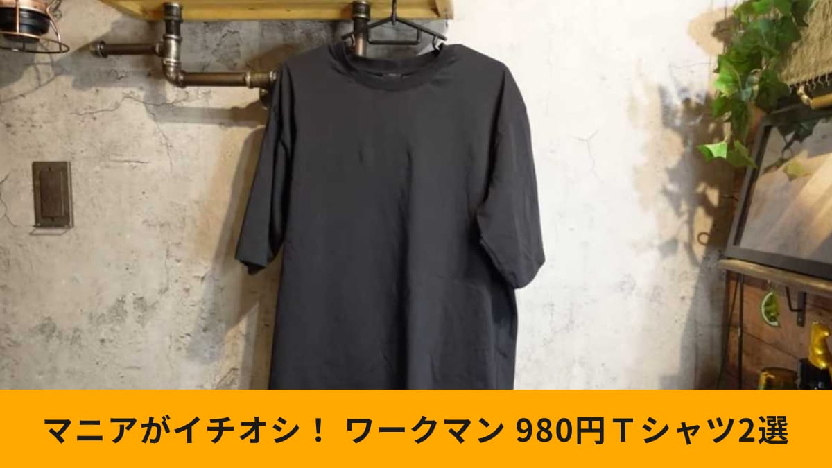 【ワークマン】「980円で買える」！スタメンTシャツ2選！冷感・速乾機能付きで暑い日に助かる～