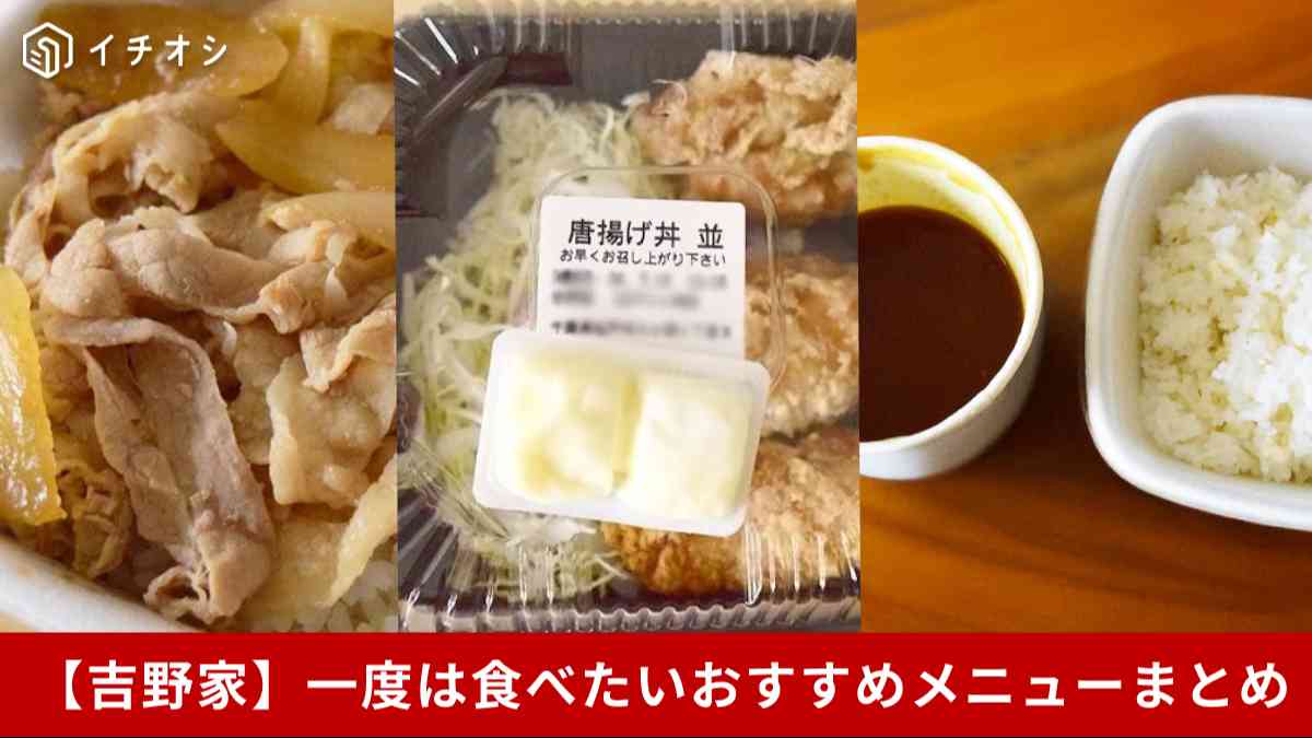 【吉野家】牛丼派も必見!一度は食べたいおすすめメニュー5選