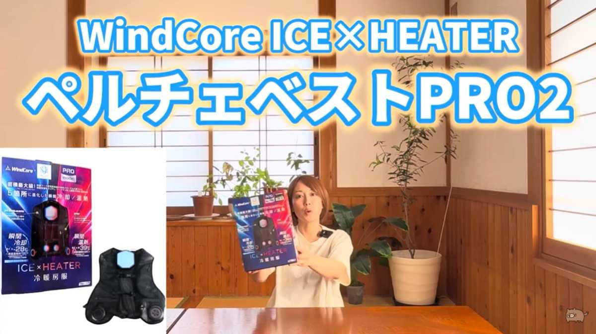 ワークマン「ウィンドコアアイス×ヒーターペルチェベストPRO2」は年中使える!