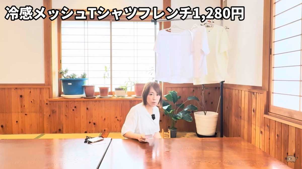 ワークマン「冷感メッシュTシャツフレンチ」は夏用スタメンTにおすすめ！