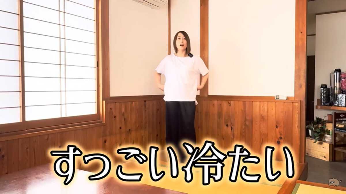 ワークマン「冷感メッシュTシャツフレンチ」は冷感効果が高い！