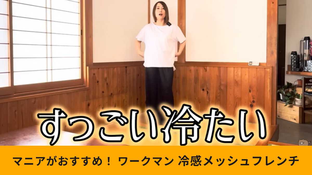 ワークマンの「冷感メッシュTシャツフレンチ」は着た瞬間から冷たい！