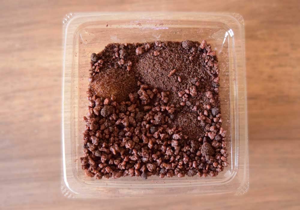土に見立てたココアスポンジとクランチは、ふにゃっとやわらかい食感