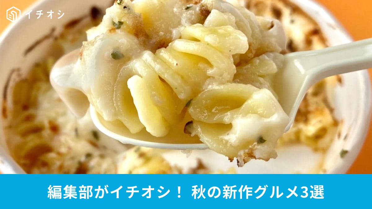 食欲の秋にぴったり！コンビニで注目の新作食事メニュー