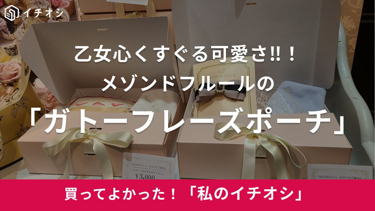 【メゾン ド フルール】このショートケーキがポーチってガチ⁉「ガトーフレーズポーチ」がキュンかわ（30代女性）