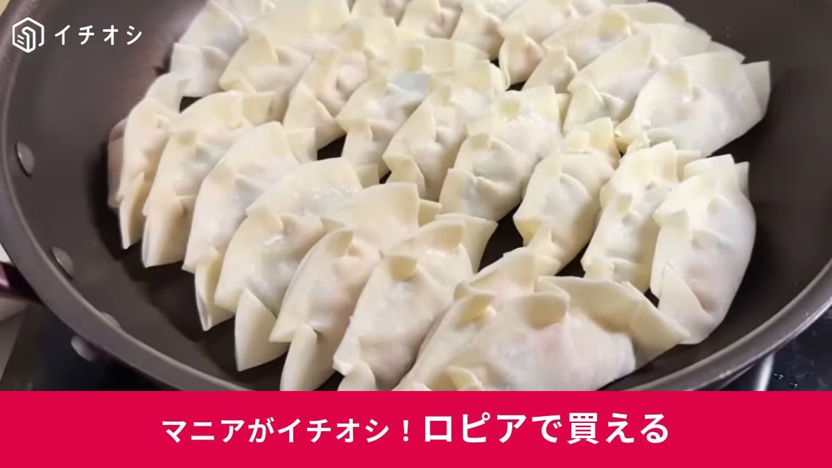 【ロピア最強コスパ】50枚入りで150円以下⁉「お徳用餃子の皮」はパリッと焼けて感動の食感！