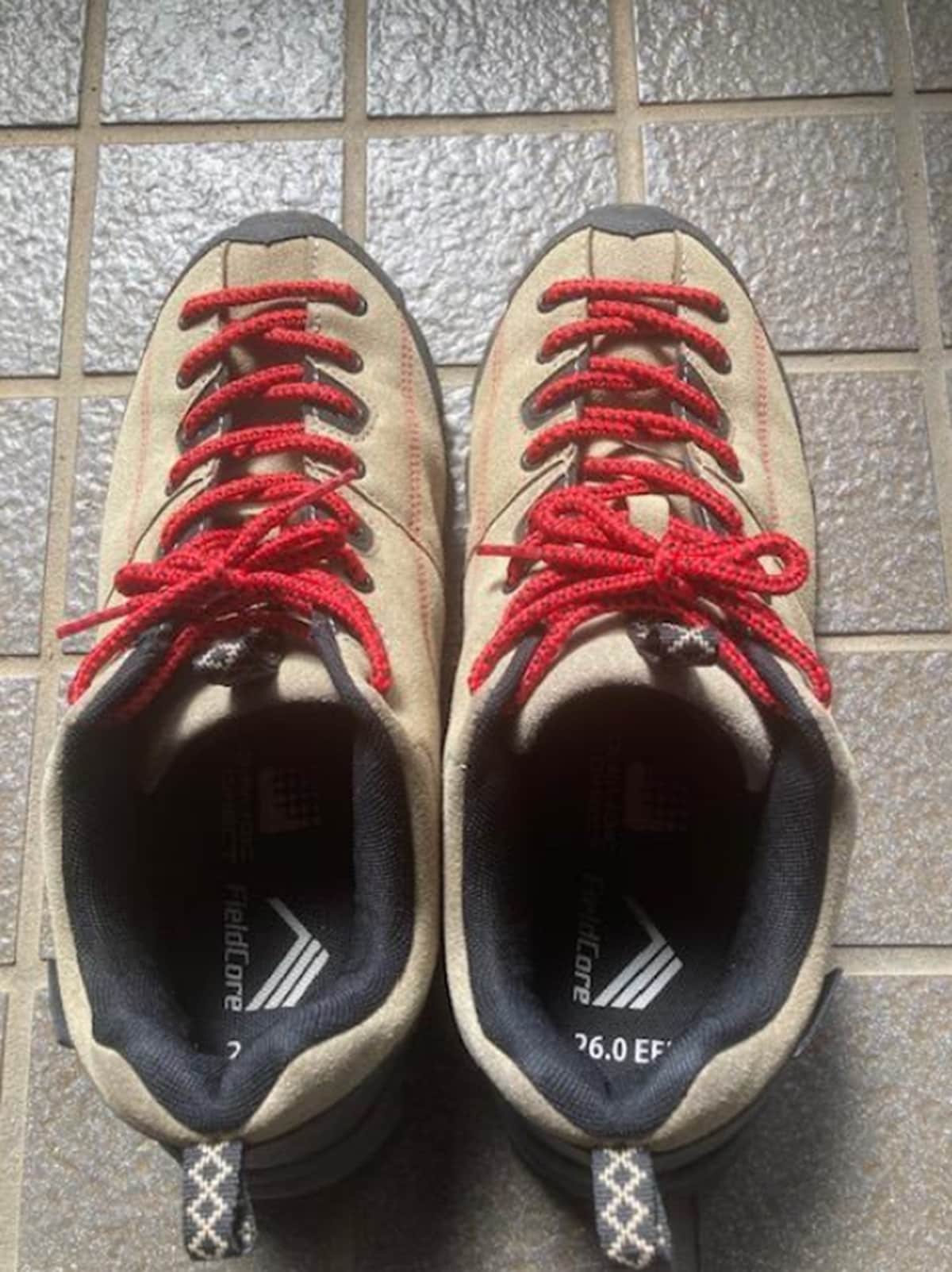 ワークマンの「DIA高撥水シューズ アーバンハイク」