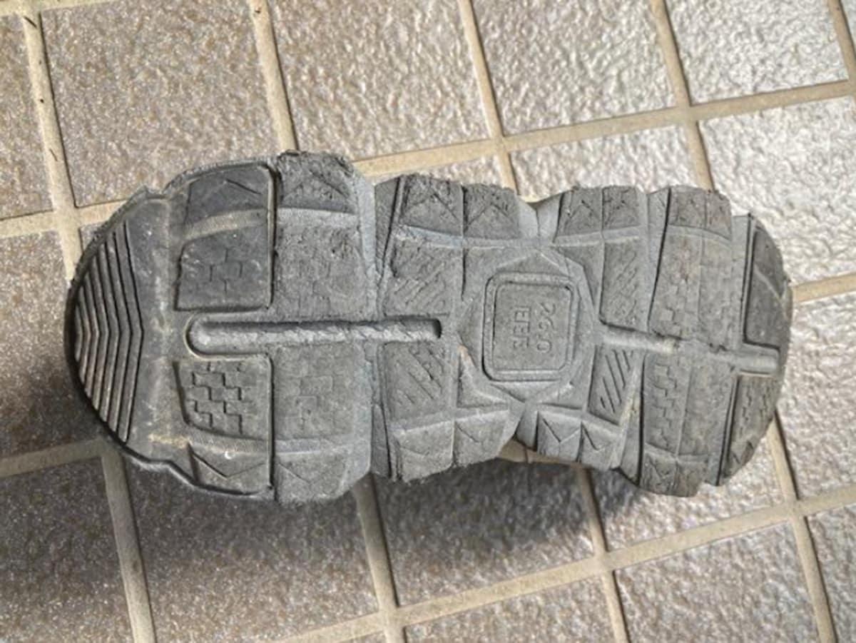 ワークマンの「DIA高撥水シューズ アーバンハイク」