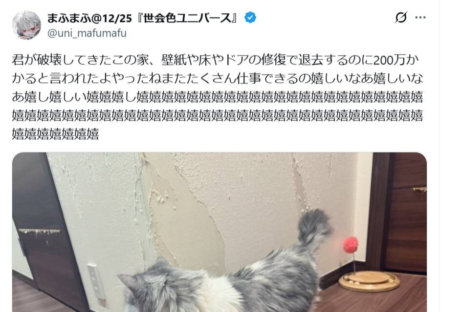 飼い猫が壊した家の退去費用にSNS騒然…「桁が違う」と驚かれた金額とは【話題のニュース3選】